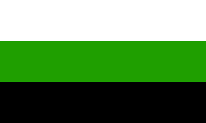 Neutrois Flag