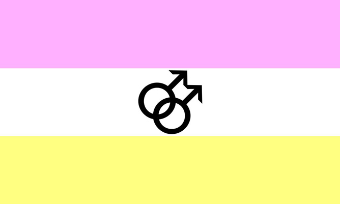 what is the male gay flag